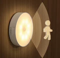 Motion Sensor Light for Home with USB Charging
