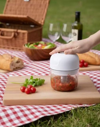 Mini Electric Food Chopper